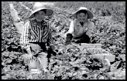 Image of two Japanese tenant farmers who worked with RLA